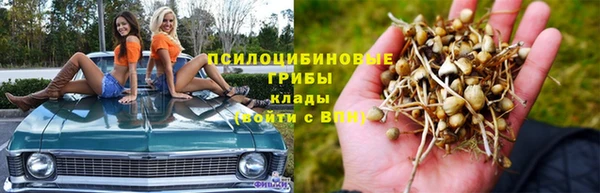 герыч Арсеньев