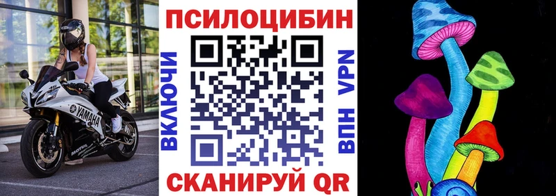 Купить где  Старица  Псилоцибиновые грибы GOLDEN TEACHER 